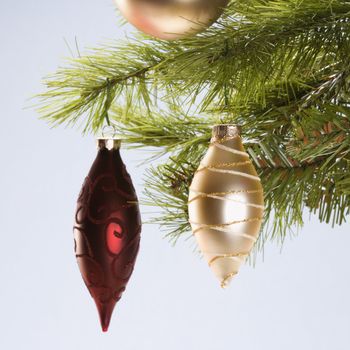 Still life of red and gold Christmas ornaments hanging from pine branch.