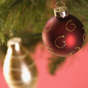 Still life of red and gold Christmas ornaments hanging from pine branch.