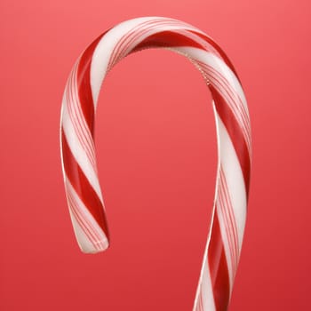 Still life of top half of candy cane.