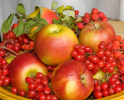 The image of a plate with autumn fruits