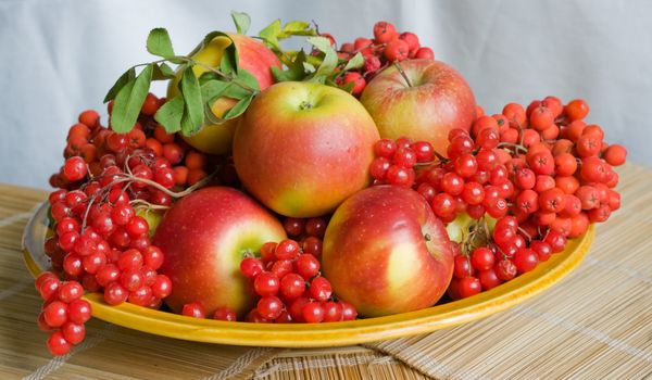 The image of a plate with autumn fruits