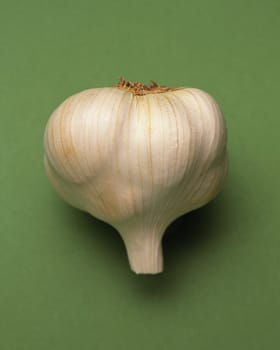 Head of garlic on green
