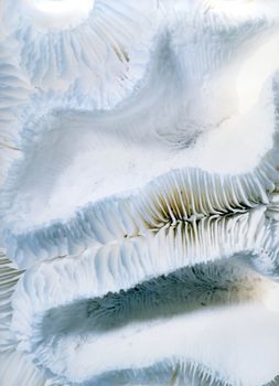 Close up of white coral on white background
