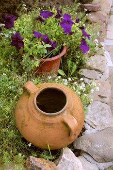 Beautiful flowers in clay pots on stones