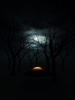 A UFO that is in a dark nighttime forest.