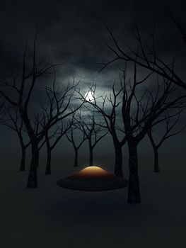 A UFO that is in a dark nighttime forest.