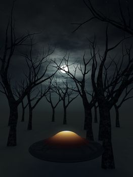 A UFO that is in a dark nighttime forest.