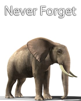 Concept image about the rumor that elephants never forget.