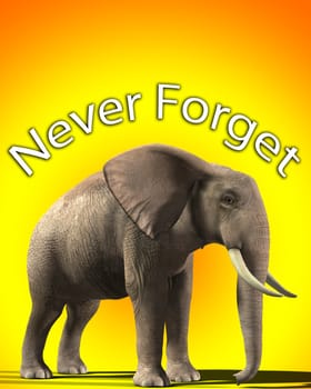 Concept image about the rumor that elephants never forget.