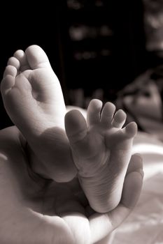 Baby feet in mother's hands in sepia