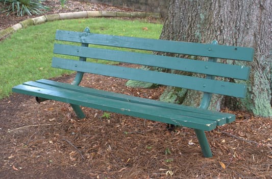 Green bench located under a tree in a park.                  