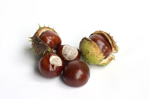 Bunch of chestnuts isolated on a white background.