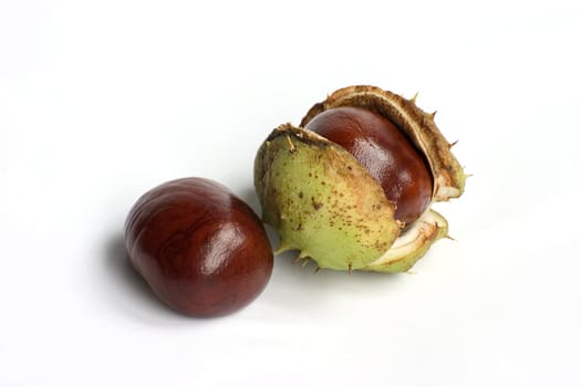 Bunch of chestnuts isolated on a white background.