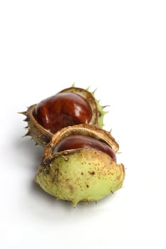 Bunch of chestnuts isolated on a white background.
