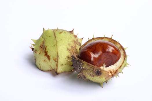 Bunch of chestnuts isolated on a white background.