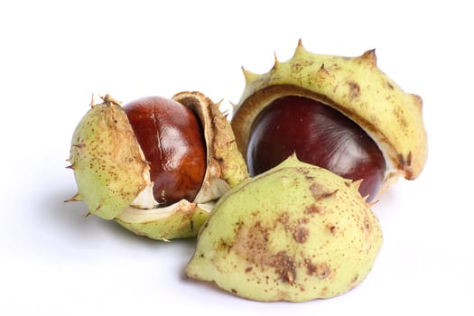 Bunch of chestnuts isolated on a white background.