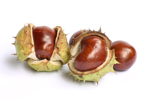 Bunch of chestnuts isolated on a white background.