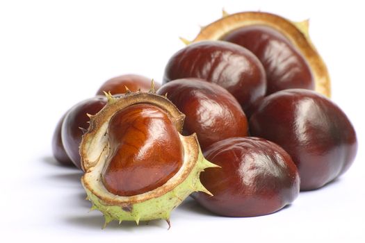 Bunch of chestnuts isolated on a white background.