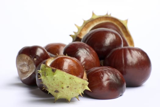 Bunch of chestnuts isolated on a white background.