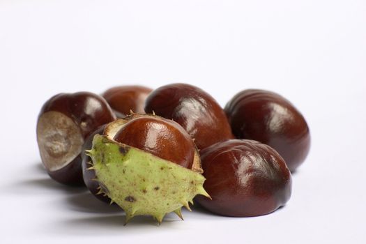 Bunch of chestnuts isolated on a white background.