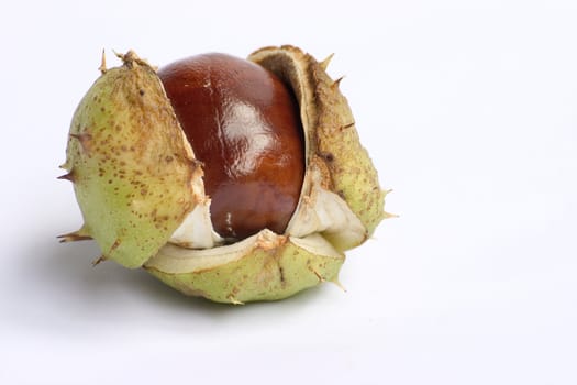 Bunch of chestnuts isolated on a white background.