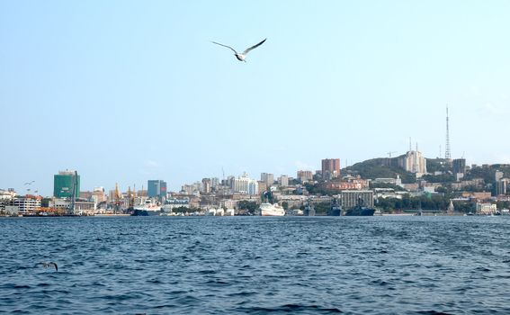 Sea scenery of Russian naval  and seaport Vladivostok .