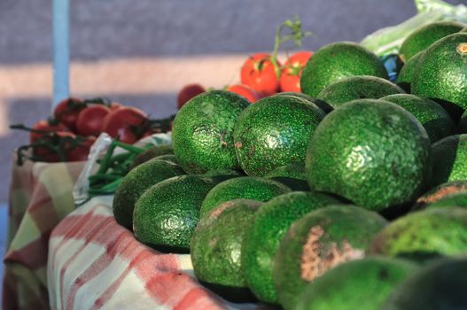 avocados at the farmer's market