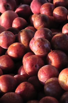Organic red plums at the farmer's market
