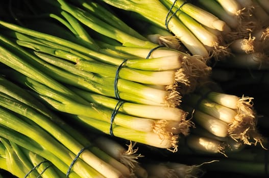 Bunches of scallions at the farmer's market