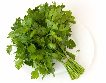 Fresh green parsley a white plate on a white background.