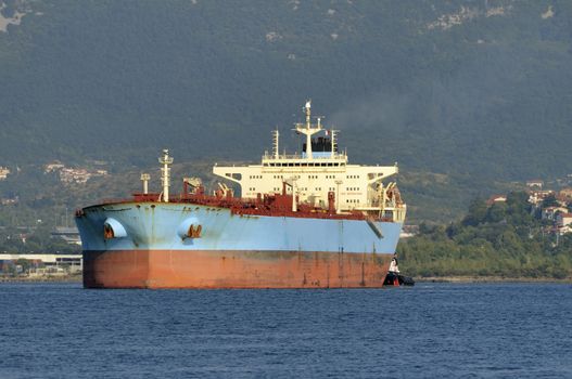 Merchant ship navigating near the coastline