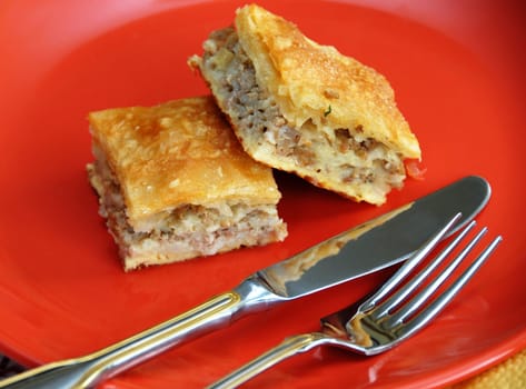 appetizing homemade baked meat pie on red plate