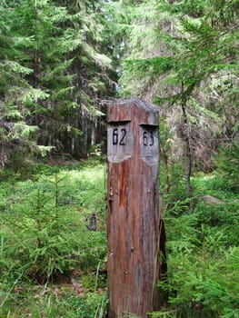 Numbered border pole in forest