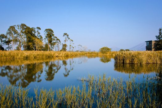 Hong Kong Wetland Park