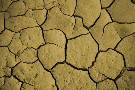 dried land