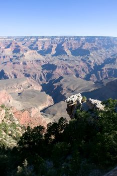 Grand Canyon with green tree over blue sky