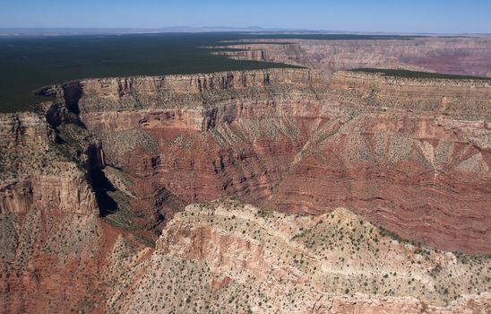 Flight over Grand Canyon with deep ravine and green trees