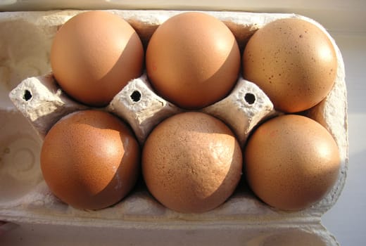 half a dozen eggs in a egg box