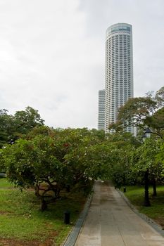 skyscraper and garden