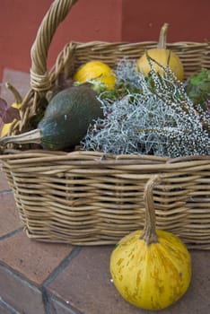 Pumpkins lying in and next to a basket