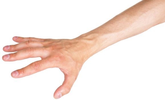 Man's hand isolated on a white background