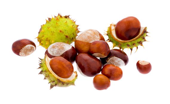 Set of chestnuts on isolated white background