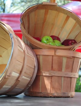 Fresh Picked apples in a bushel basket