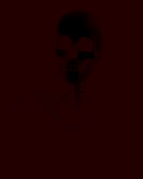 An image of a Skelton that could be used for Halloween or medical concepts.