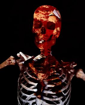 An image of a Skelton that could be used for Halloween or medical concepts.