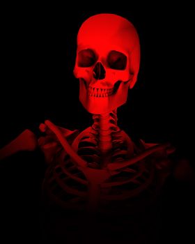An image of a Skelton that could be used for Halloween or medical concepts.