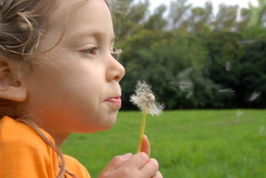 Blondie little girl playing with flying dandelion seeds