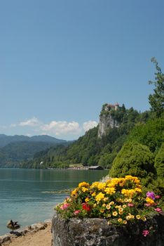 Wiew of Bled church with duck and flowers