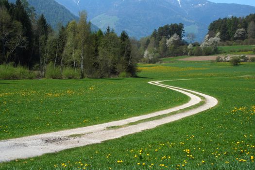 little banded road in a mountain in italy