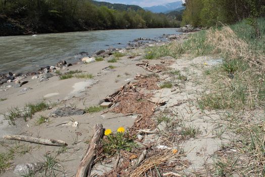 mountain river in the Alps during the spring